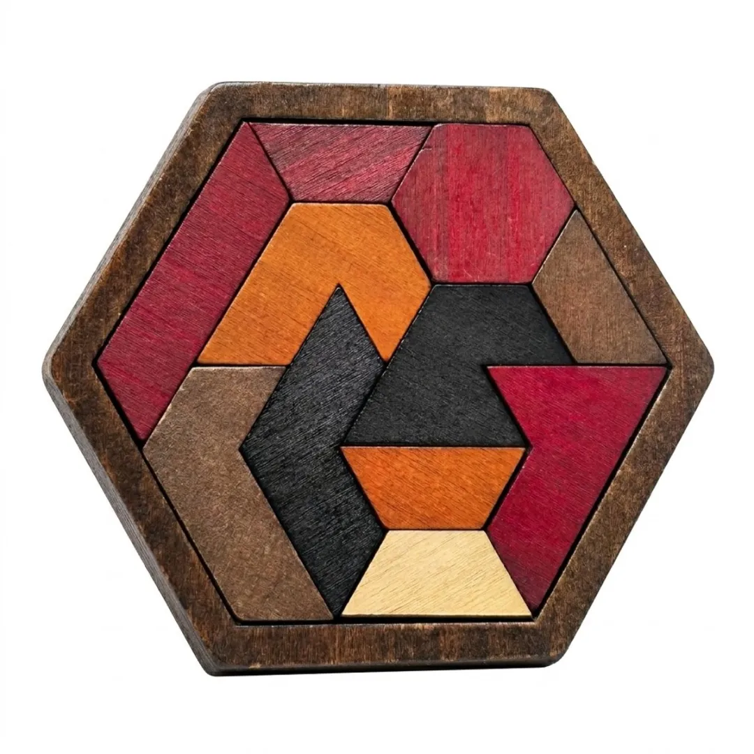 NUVEX Houten Breinbreker Puzzel