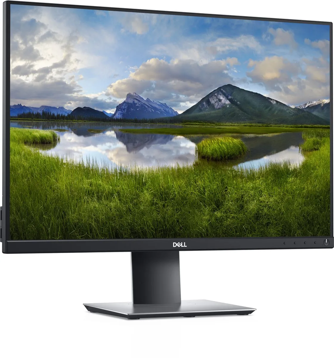 Dell P2421 WUXGA Monitor 24 inch - 60Hz