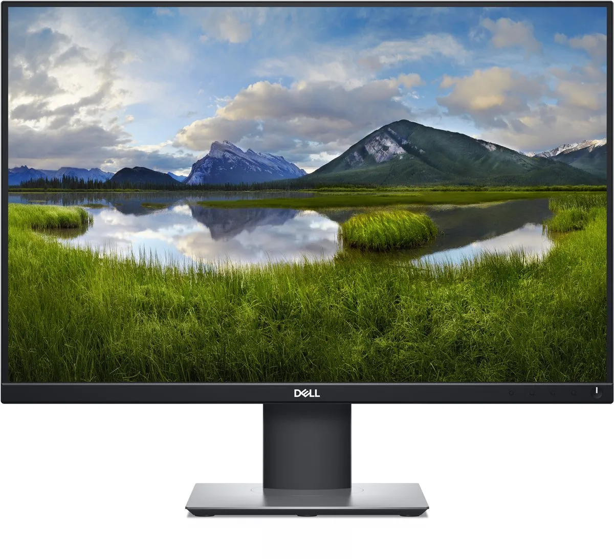 Dell P2421 WUXGA Monitor 24 inch