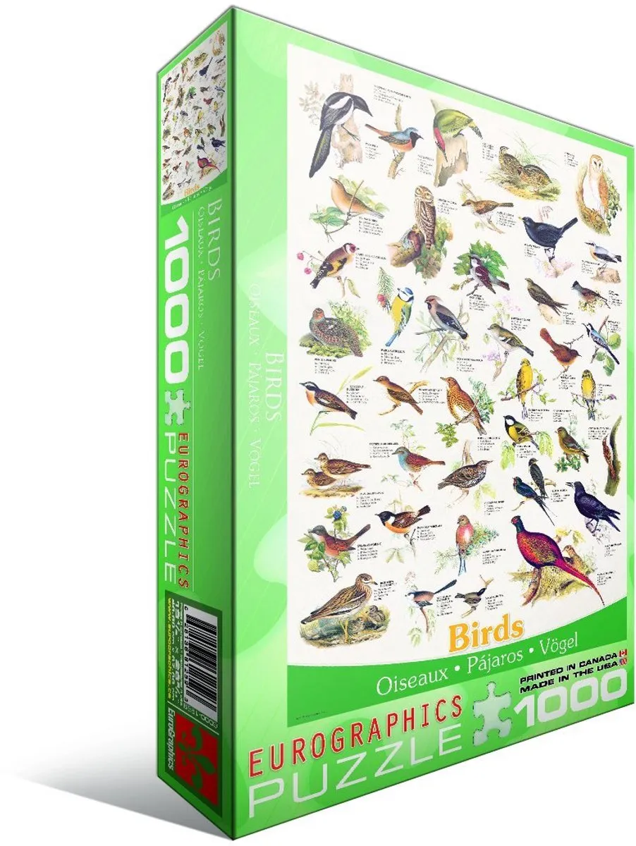 Eurographics Vogels Legpuzzel 1000 Stuks - 48x68cm - Meerkleurig