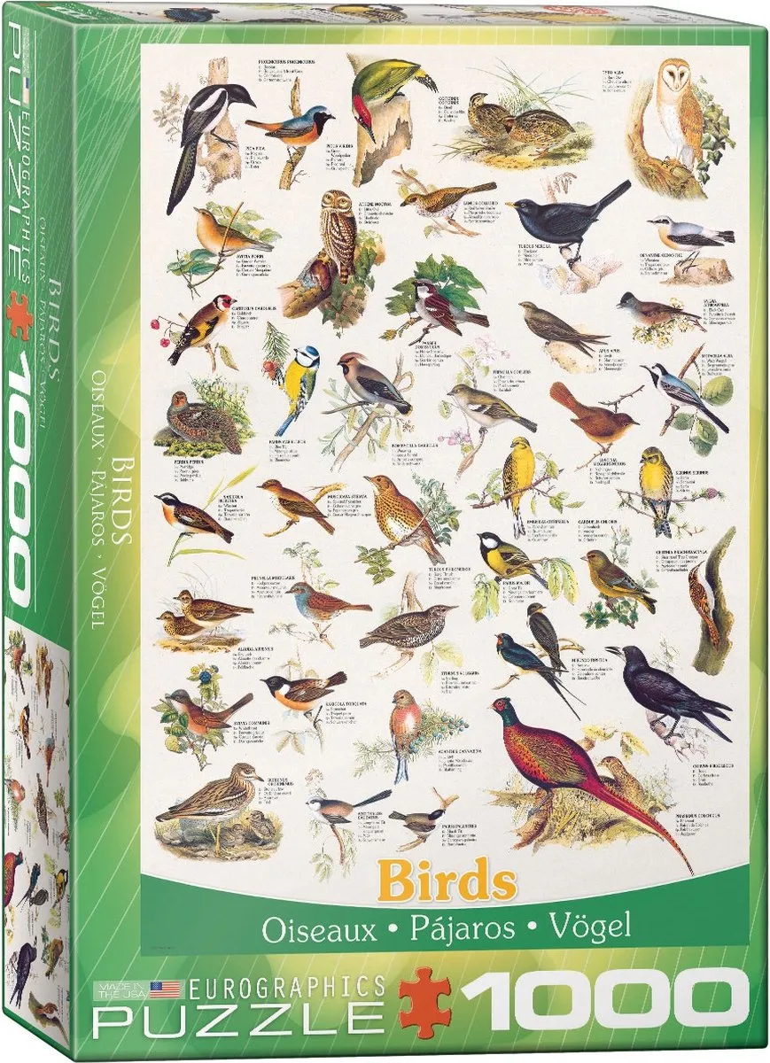 Eurographics Vogels Legpuzzel 1000 Stuks