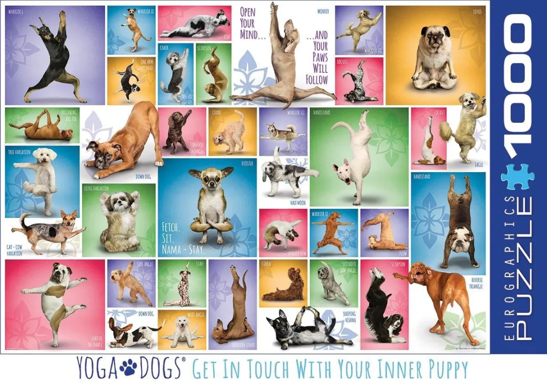 Eurographics Yoga Honden Legpuzzel 1000 Stuks - Meerkleurig