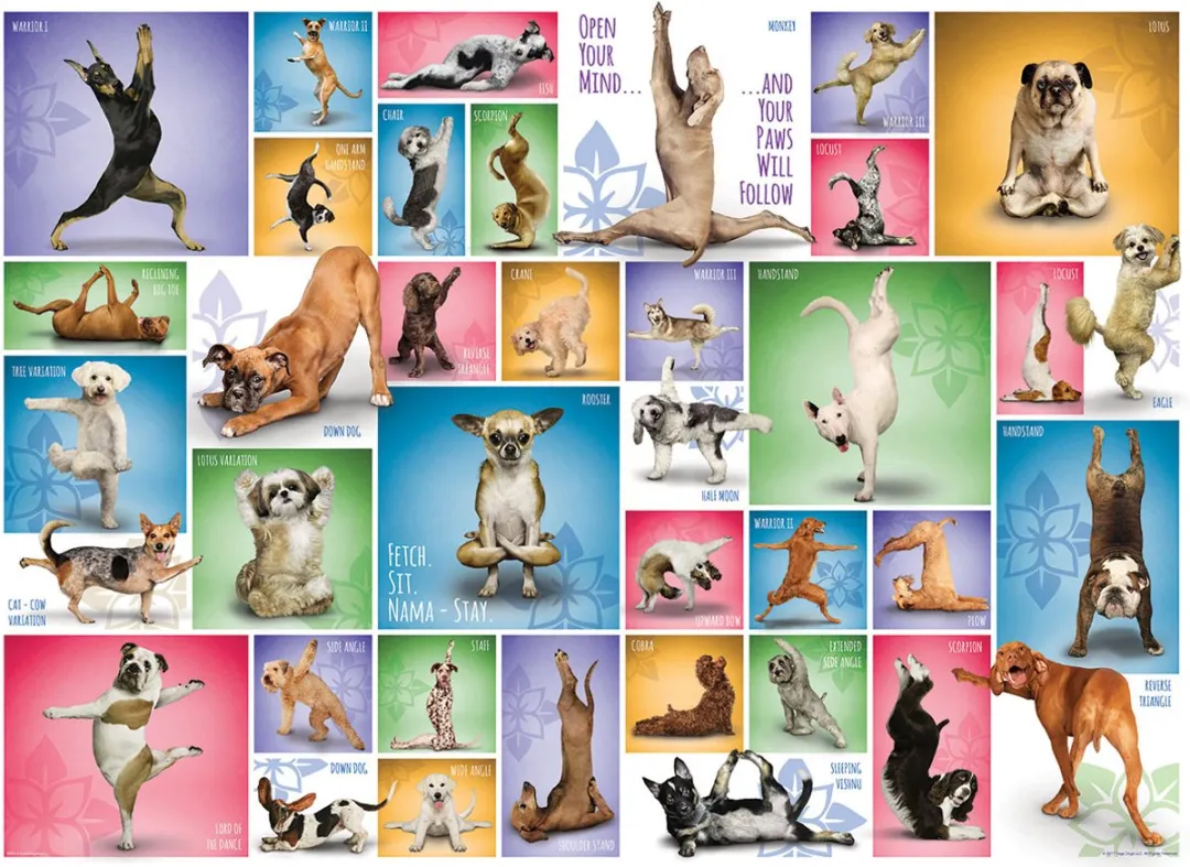Eurographics Yoga Honden Legpuzzel 1000 Stuks - Meerkleurig