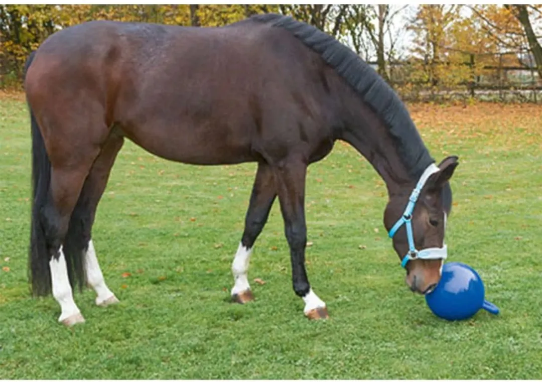 Kerbl Paarden Speelbal Blauw 25cm