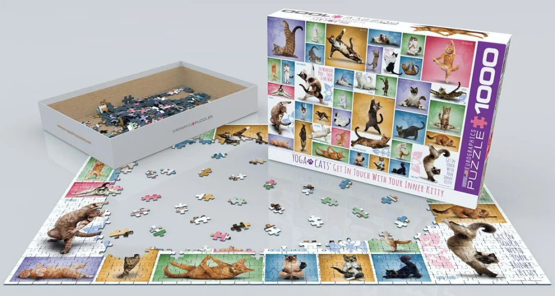 Eurographics Yoga Katten Legpuzzel 1000 Stuks - Meerkleurig