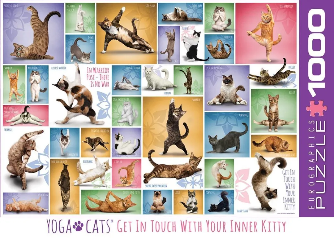 Eurographics Yoga Katten Legpuzzel 1000 Stuks - Meerkleurig