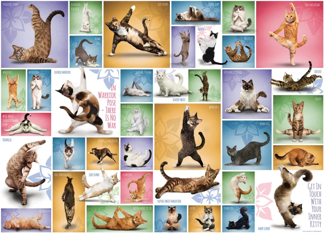 Eurographics Yoga Katten Legpuzzel 1000 Stuks - Meerkleurig