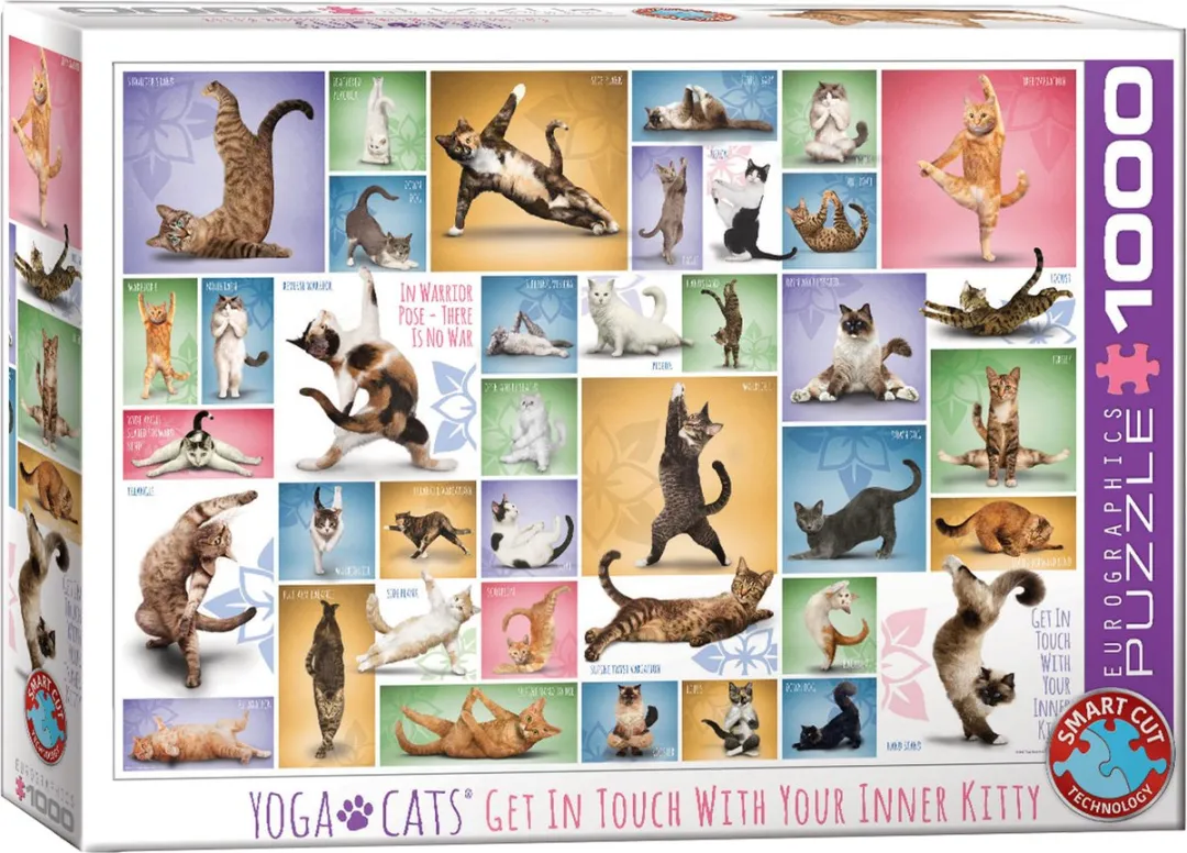 Eurographics Yoga Katten Legpuzzel 1000 Stuks - Meerkleurig