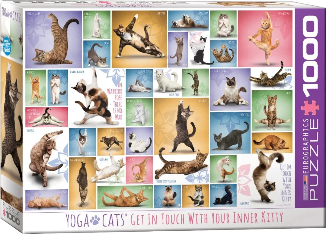 Eurographics Yoga Katten Legpuzzel 1000 Stuks