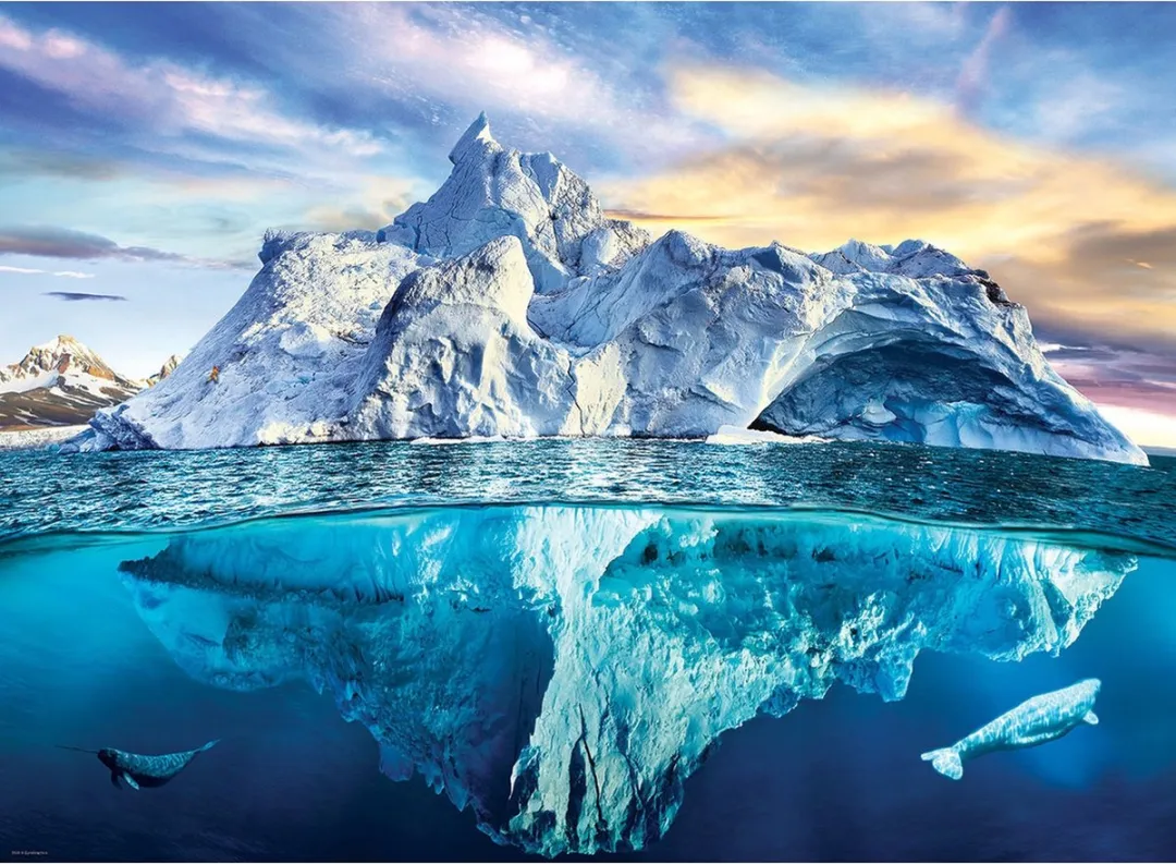 Eurographics Red de Planeet! Noordpool Puzzel 1000 Stuks - 68x48cm - Meerkleurig