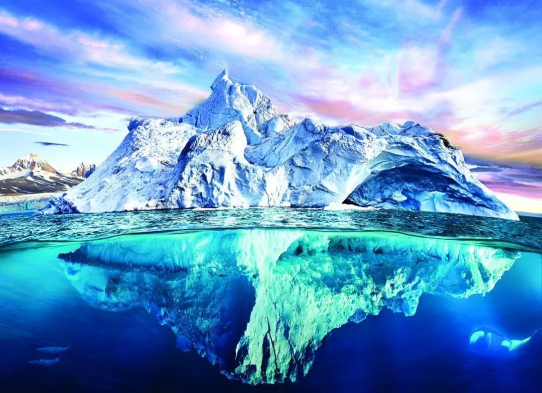 Eurographics Red de Planeet! Noordpool Puzzel 1000 Stuks - 68x48cm - Meerkleurig