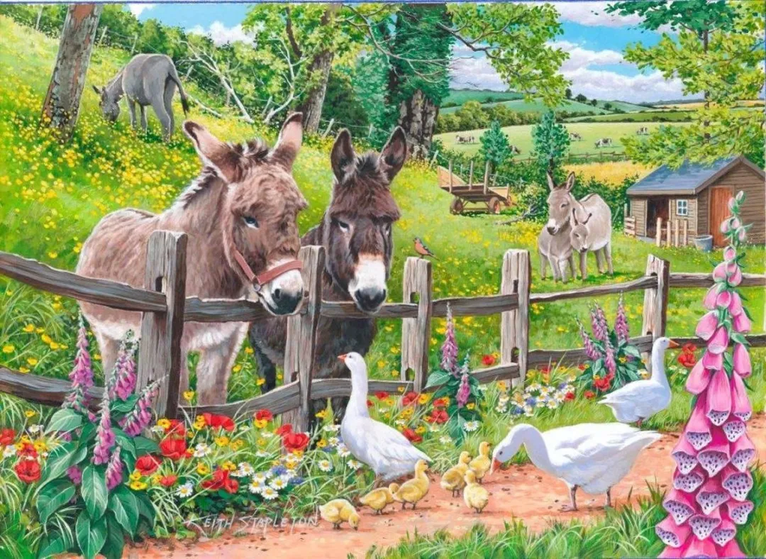 House Of Puzzles Jack & Jenny 250 XL Legpuzzel