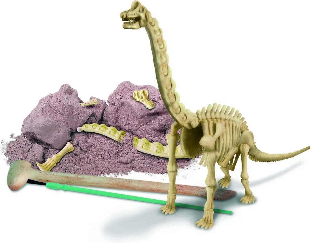 4M KidzLabs Graaf Je Dinosaurus Brachiosaurus - Groen - afbeelding 6 van 6