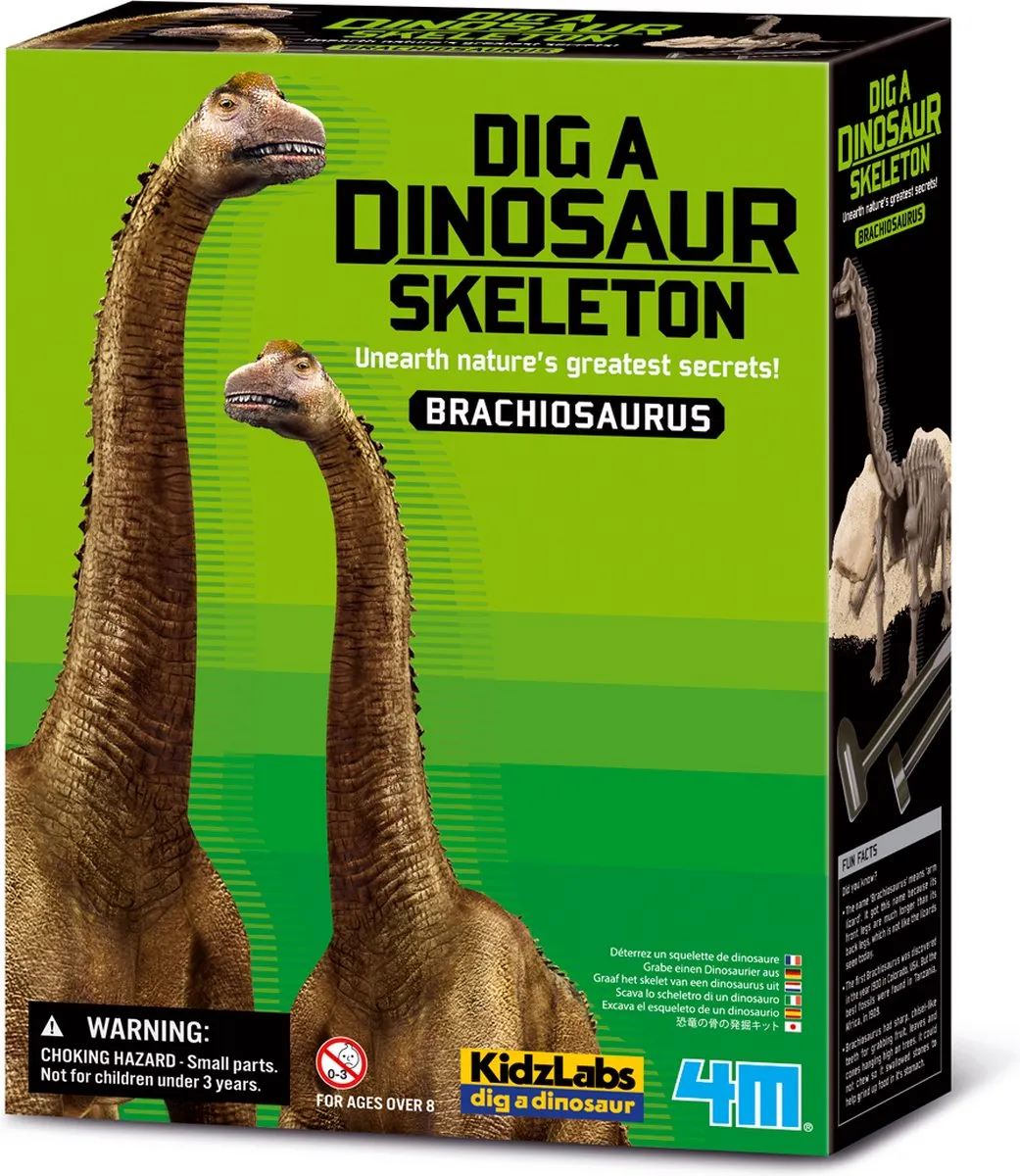 4M KidzLabs Graaf Je Dinosaurus Brachiosaurus - Groen - afbeelding 4 van 6
