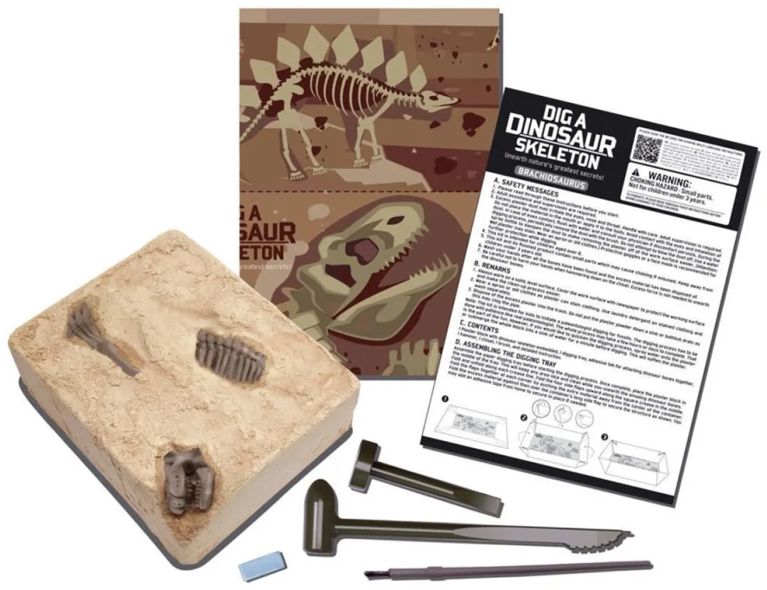 4M KidzLabs Graaf Je Dinosaurus Brachiosaurus - Groen - afbeelding 3 van 6