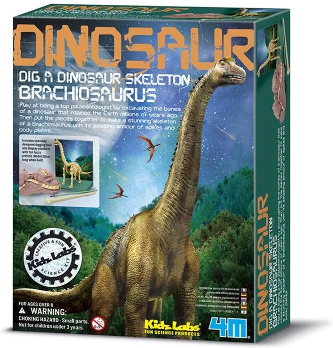 4M KidzLabs Graaf Je Dinosaurus Brachiosaurus - Groen - afbeelding 2 van 6