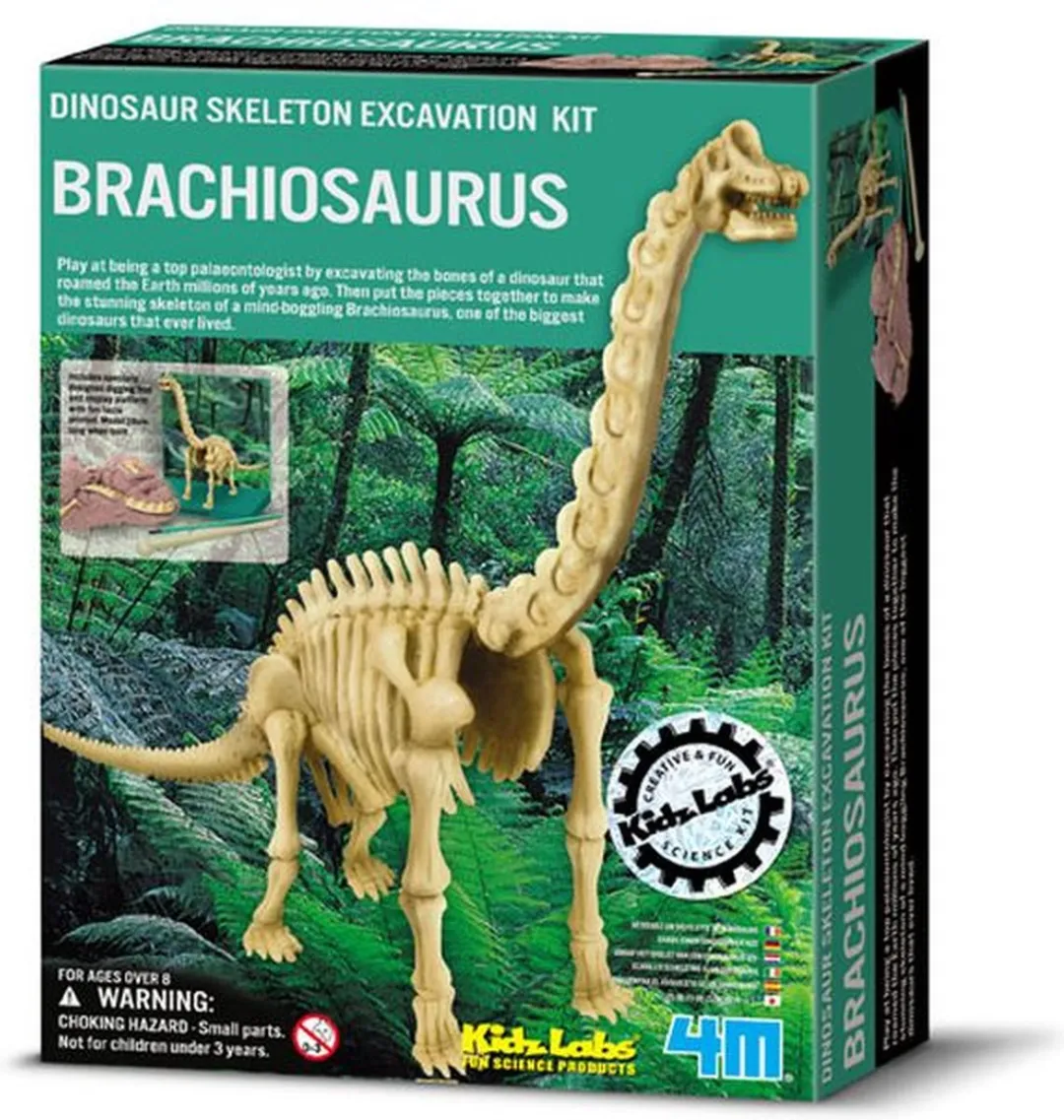 4M KidzLabs Graaf Je Dinosaurus Brachiosaurus