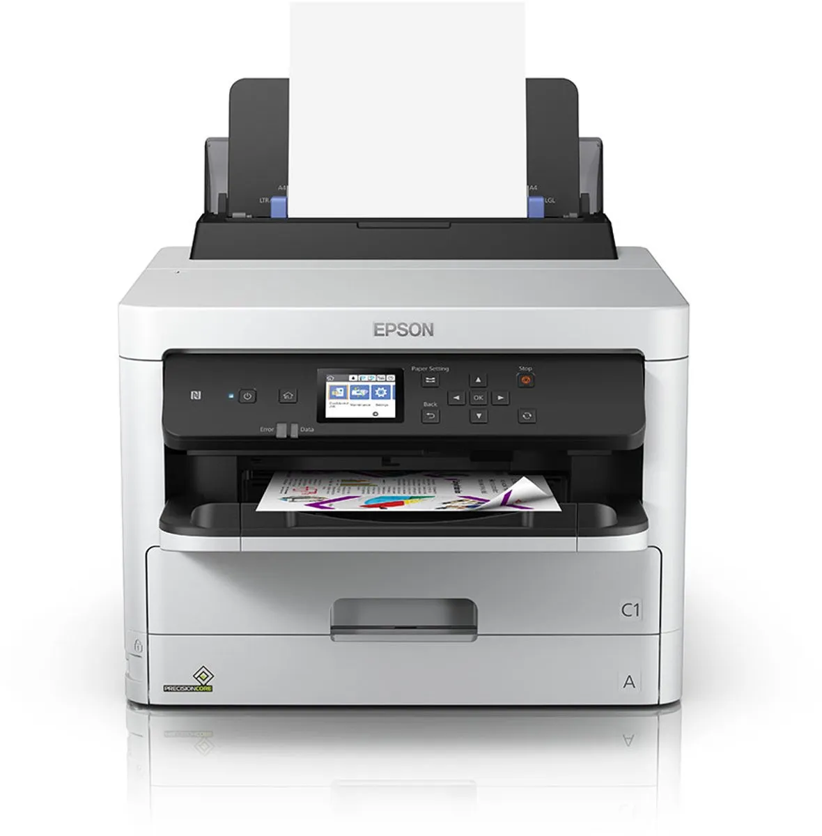 Epson C13T01D100 Compatible Inktcartridge Zwart - 50.000 pagina's