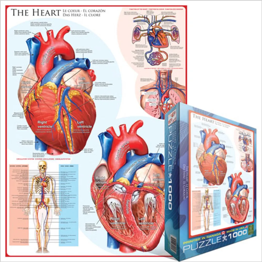 Eurographics Het Hart Legpuzzel 1000 Stuks - 48x68cm - Meerkleurig