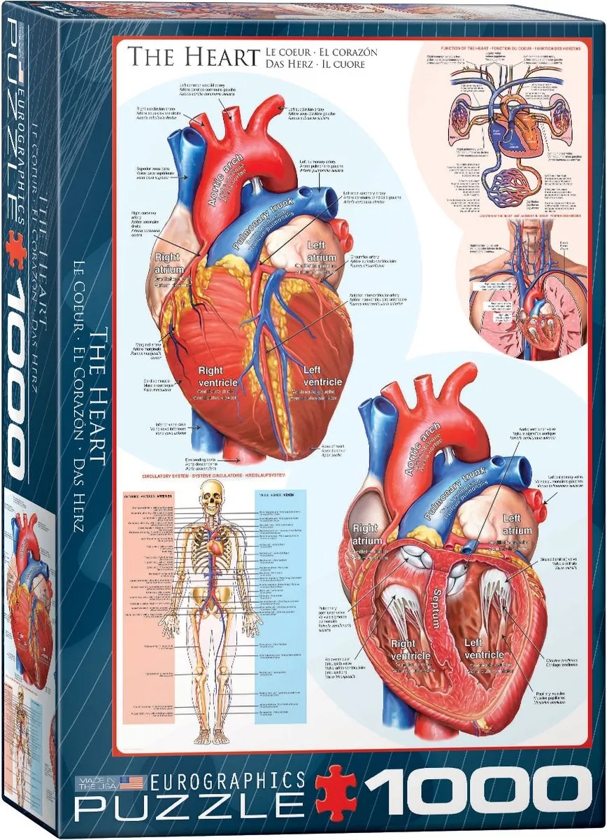 Eurographics Het Hart Legpuzzel 1000 Stuks