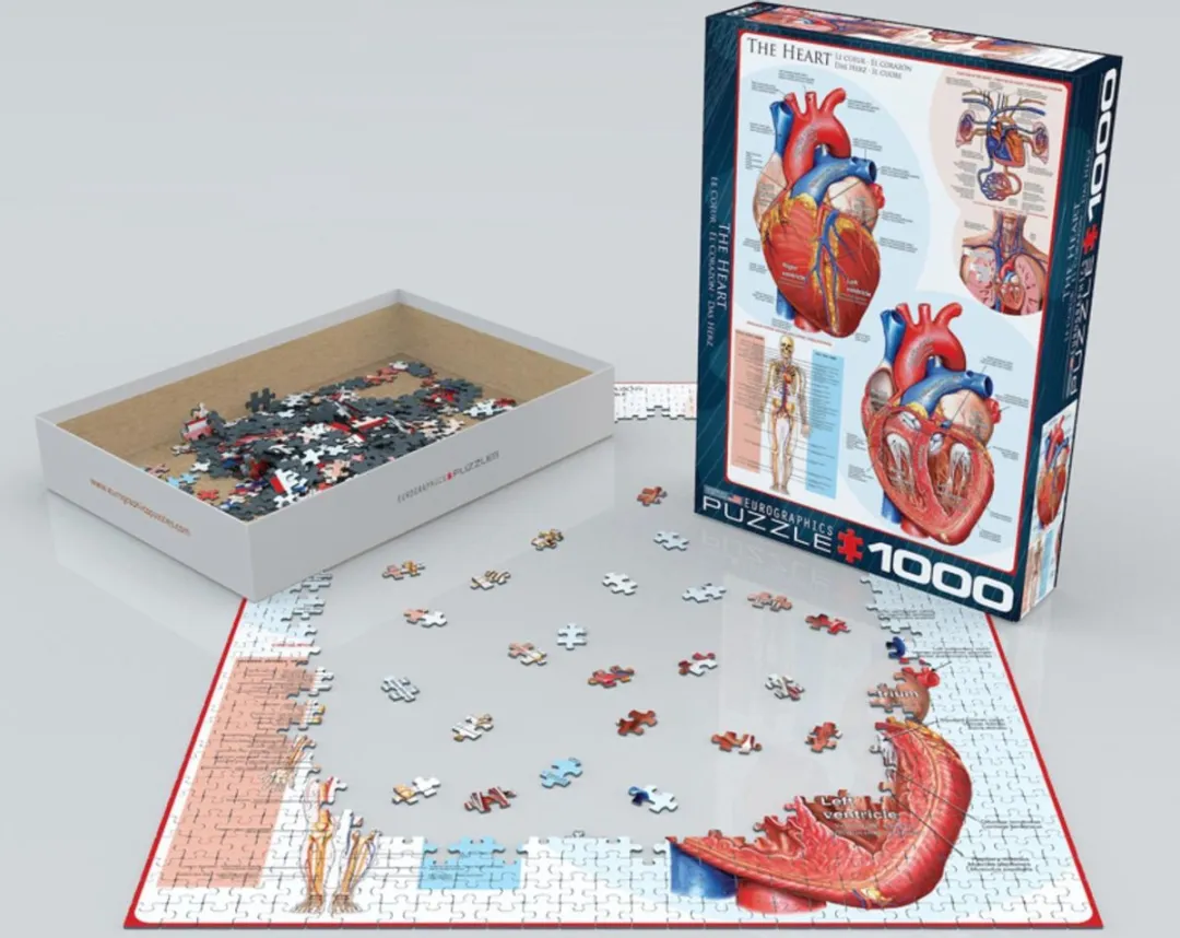 Eurographics Het Hart Legpuzzel 1000 Stuks - 48x68cm - Meerkleurig