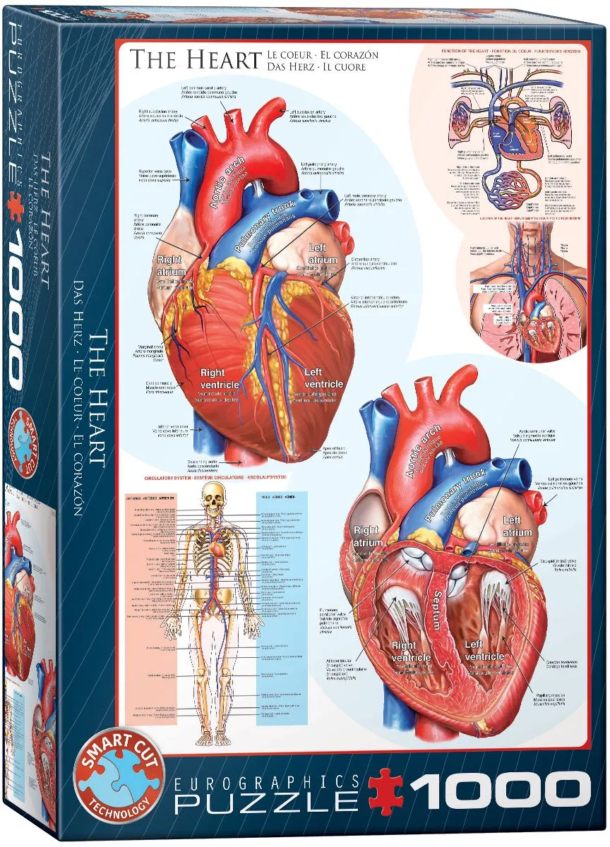 Eurographics Het Hart Legpuzzel 1000 Stuks - 48x68cm - Meerkleurig