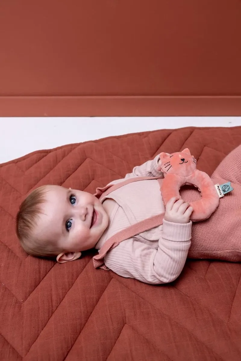 Trixie Baby Rammelaar Mrs. Cat - Roze