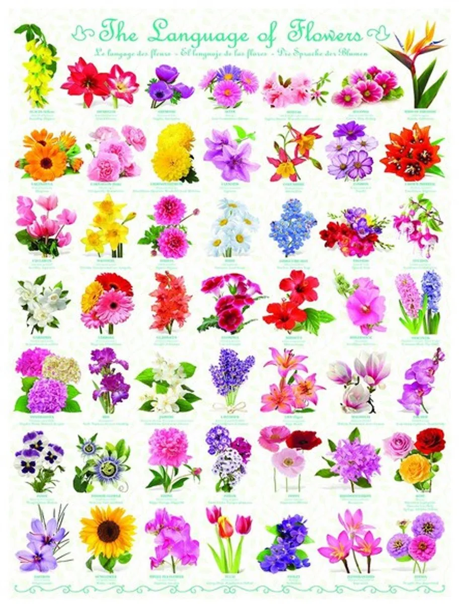 Eurographics The Language of Flowers Puzzel 1000 Stuks - Meerkleurig