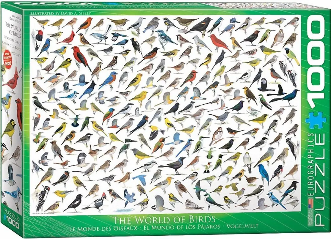 Eurographics De Wereld van Vogels Legpuzzel 1000 Stuks - David Sibley