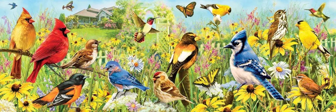 Eurographics Tuin Vogels Greg Giordano Legpuzzel 1000 Stuks - Meerkleurig