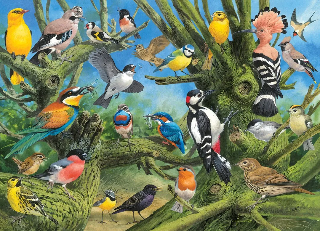 Eurographics Tuin Vogels John Fransis Legpuzzel 1000 Stuks - 68x48cm