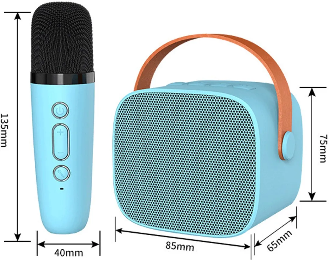 ECTEATOY 2-in-1 Karaokeset - 2 Draadloze Microfoons - Blauw