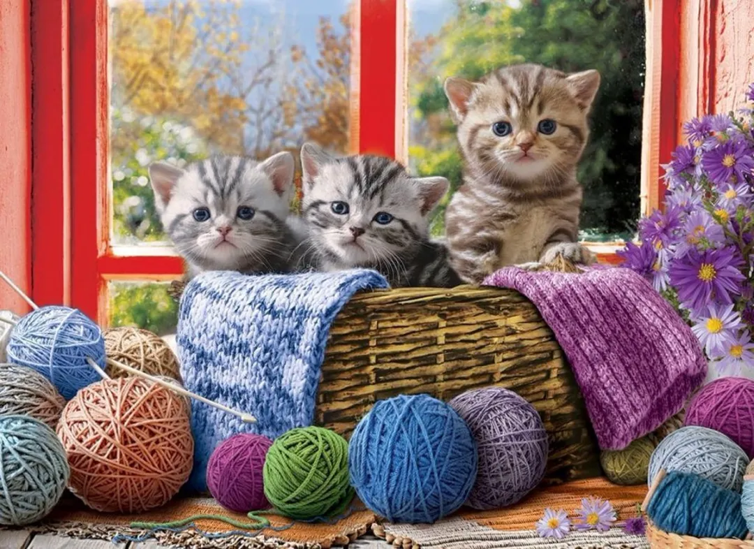 Eurographics Breiende Kittens Knittin' Kittens 500 XL Puzzel - 500 Stuks - 68x48cm - Meerkleurig