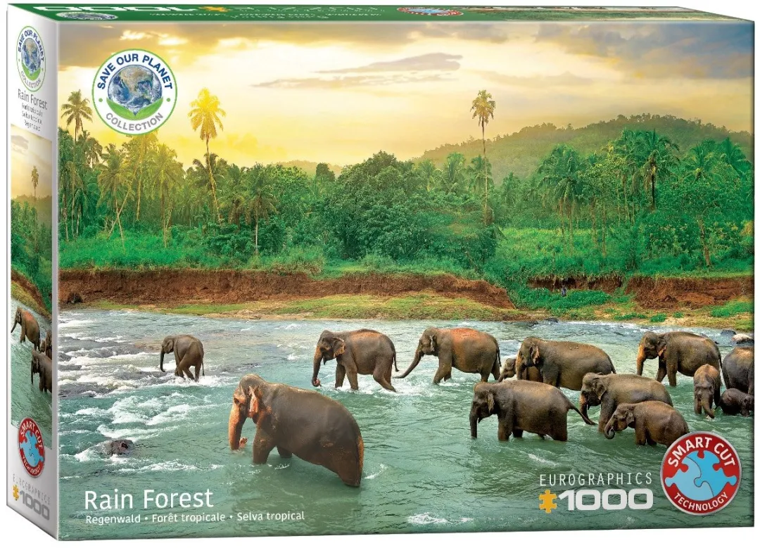 Eurographics Red de Planeet! Regenbos Legpuzzel 1000 Stuks - 68x48cm