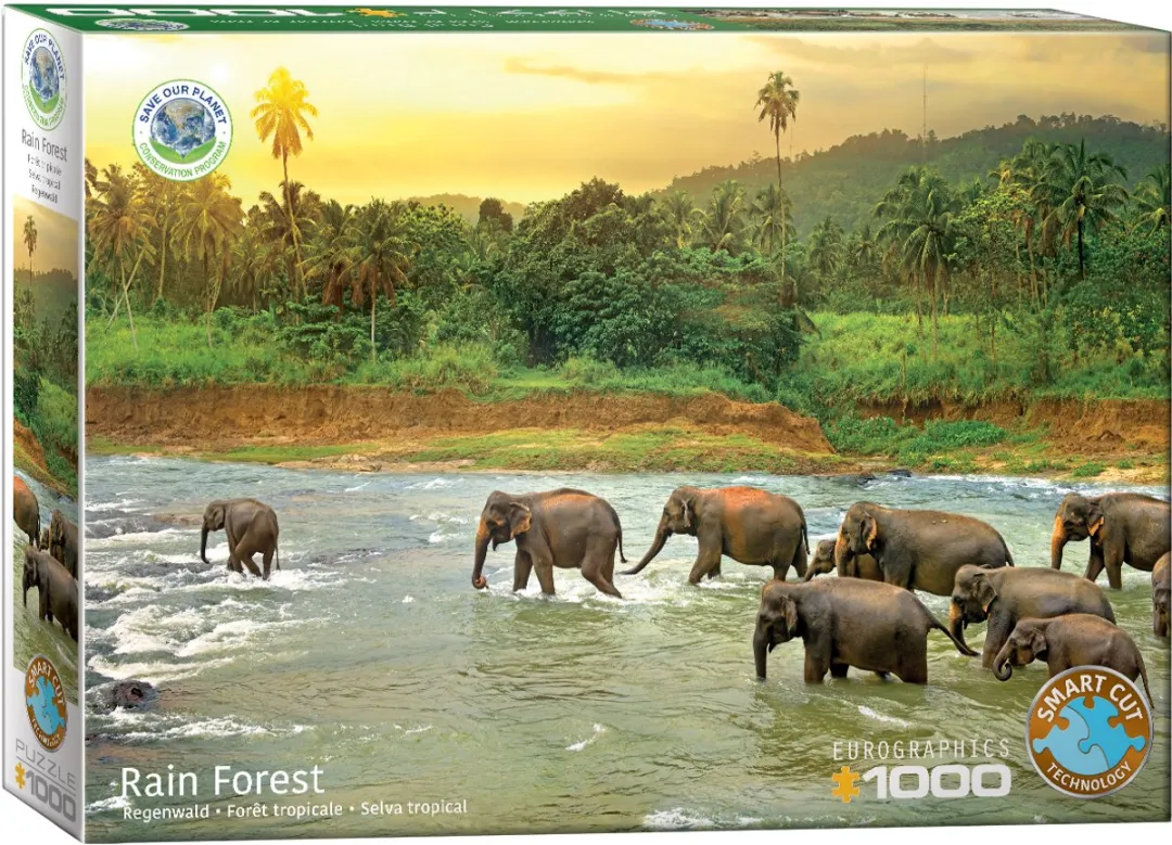 Eurographics Red de Planeet! Regenbos Legpuzzel 1000 Stuks
