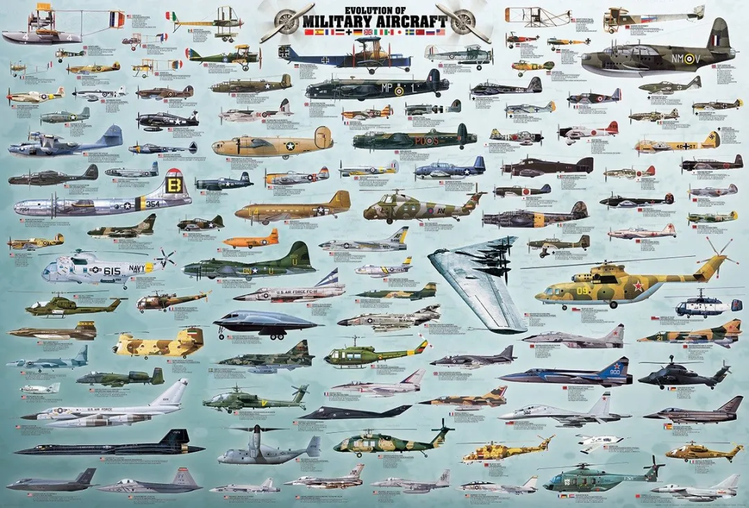 Eurographics Evolutie van Militaire Vliegtuigen Legpuzzel 2000 Stuks - eu8220-0578