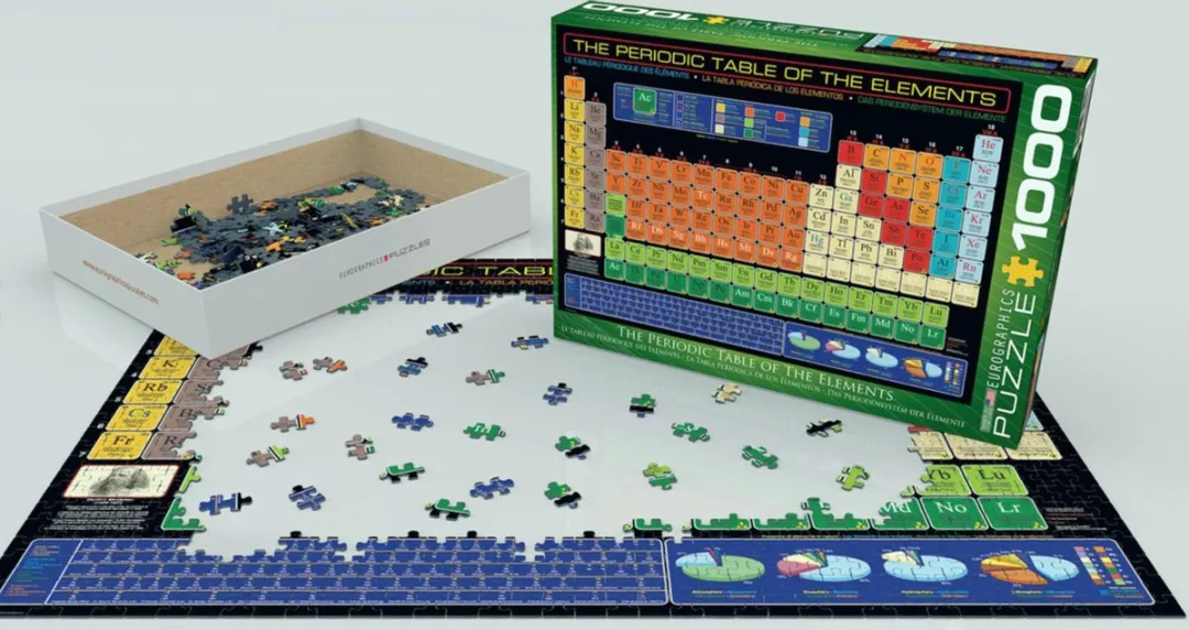 Eurographics Het Skeletsysteem Legpuzzel 1000 Stuks - eu6000-3970