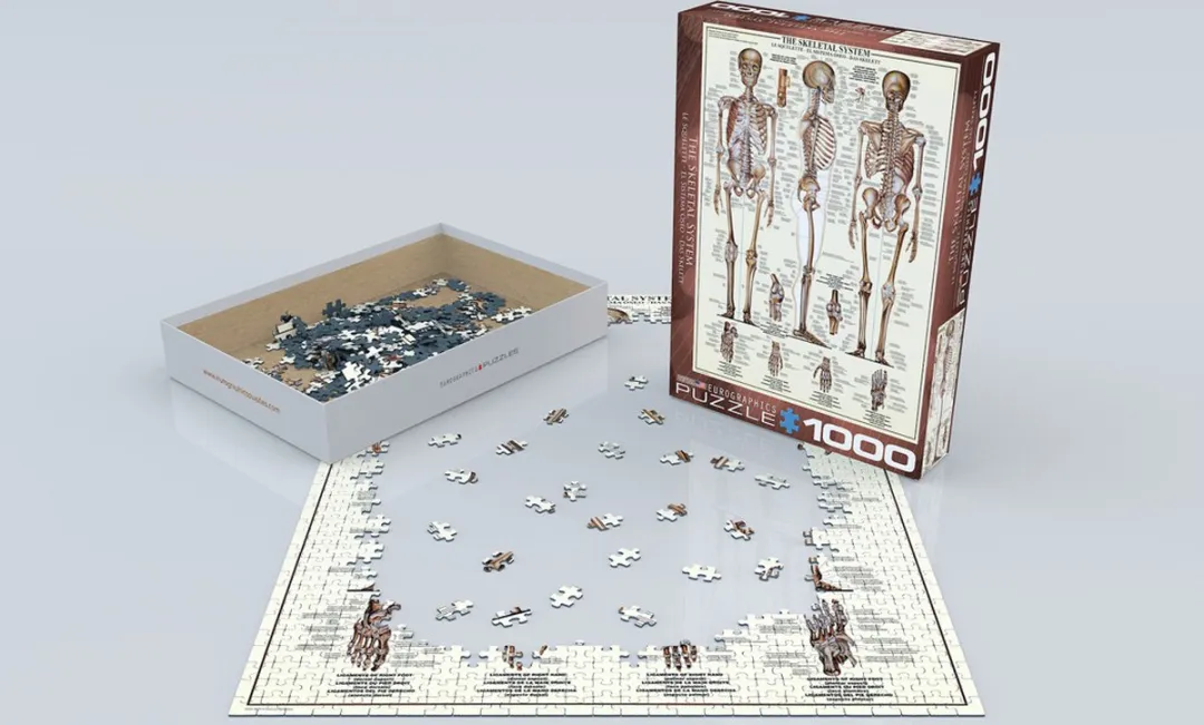 Eurographics Het Skeletsysteem Legpuzzel 1000 Stuks - eu6000-3970
