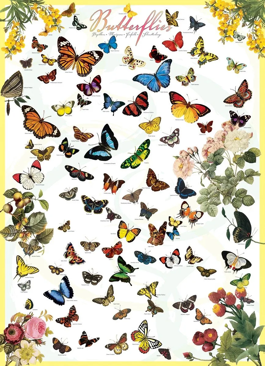 Eurographics Vlinders Legpuzzel 1000 Stuks - Meerkleurig