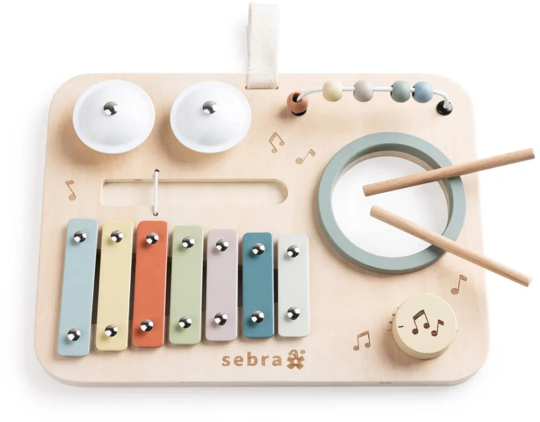 Sebra Activity Panel Music