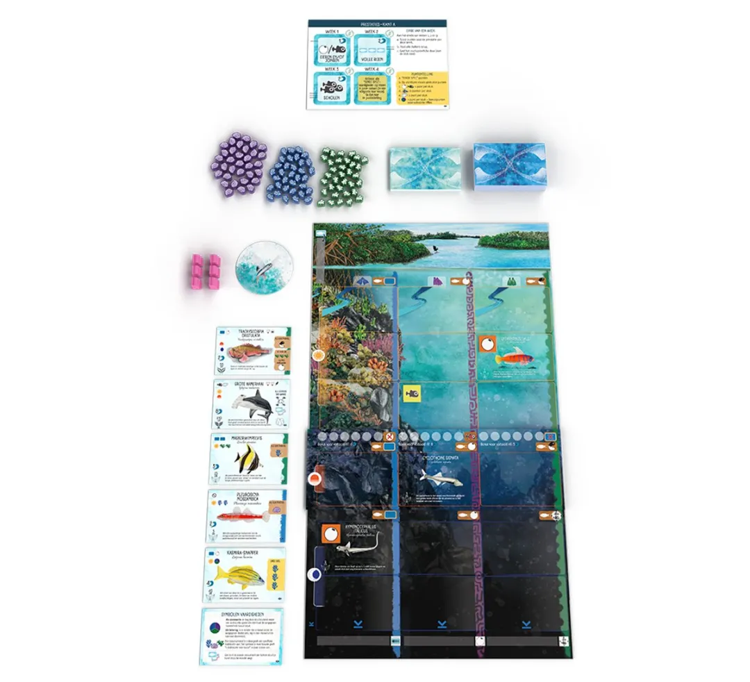 999 Games Finspan Uitbreiding Haaien en Riffen - 999-FIN03
