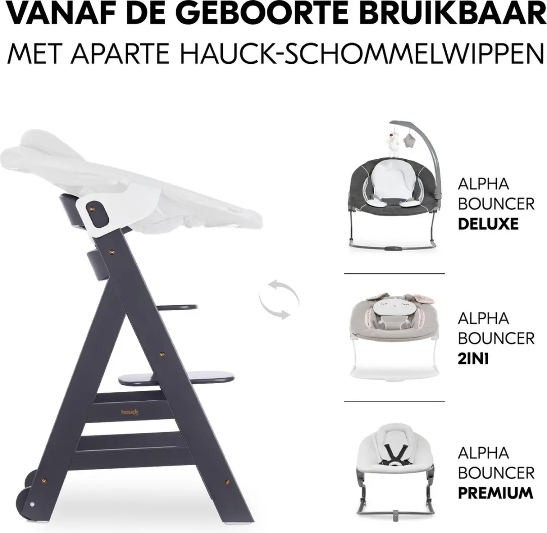 Hauck Beta+ Kinderstoel - Dark Grey - 5-delig