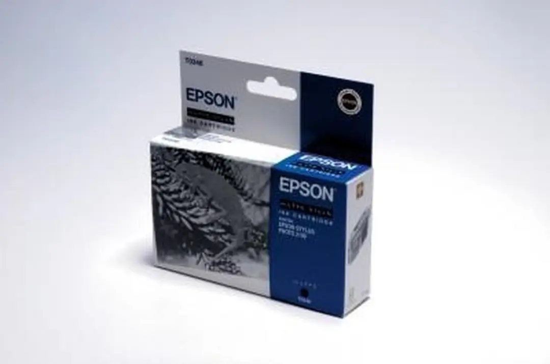 Epson T034840 Fotocartridge Zwart - 1000 pagina's
