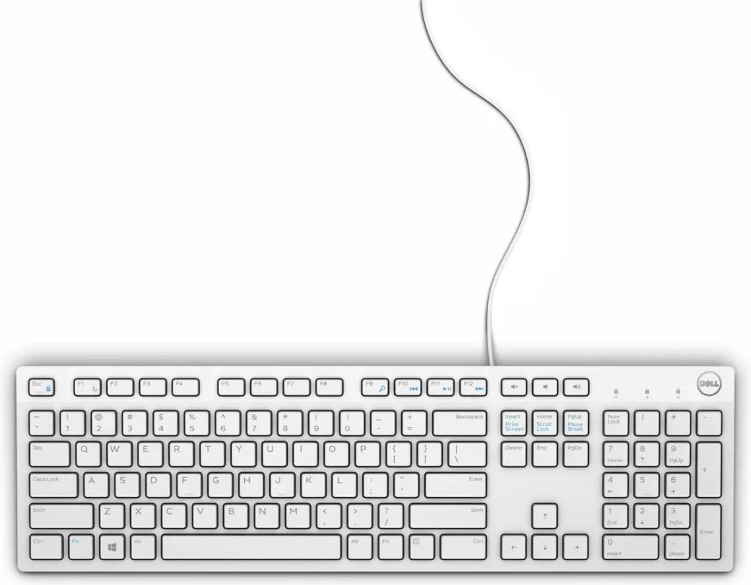 Dell KB216 Bekabeld Toetsenbord - Duits QWERTZ - Wit - afbeelding 6 van 6