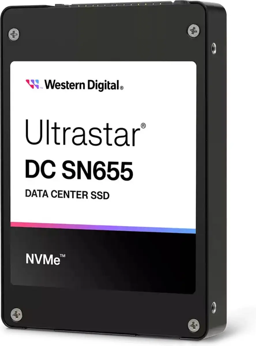 Western Digital Ultrastar DC SN655 0TS2461 SSD