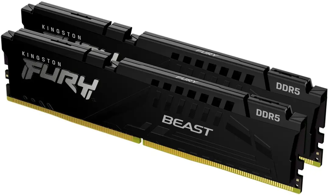 Kingston Fury Beast KF556C36BBEK2-64 DDR5 RAM