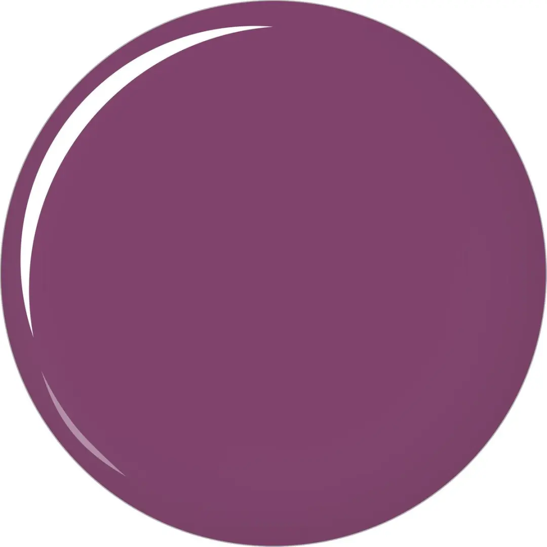Maybelline RAL SSTAY24H 363 All Day Plum - 9ml
