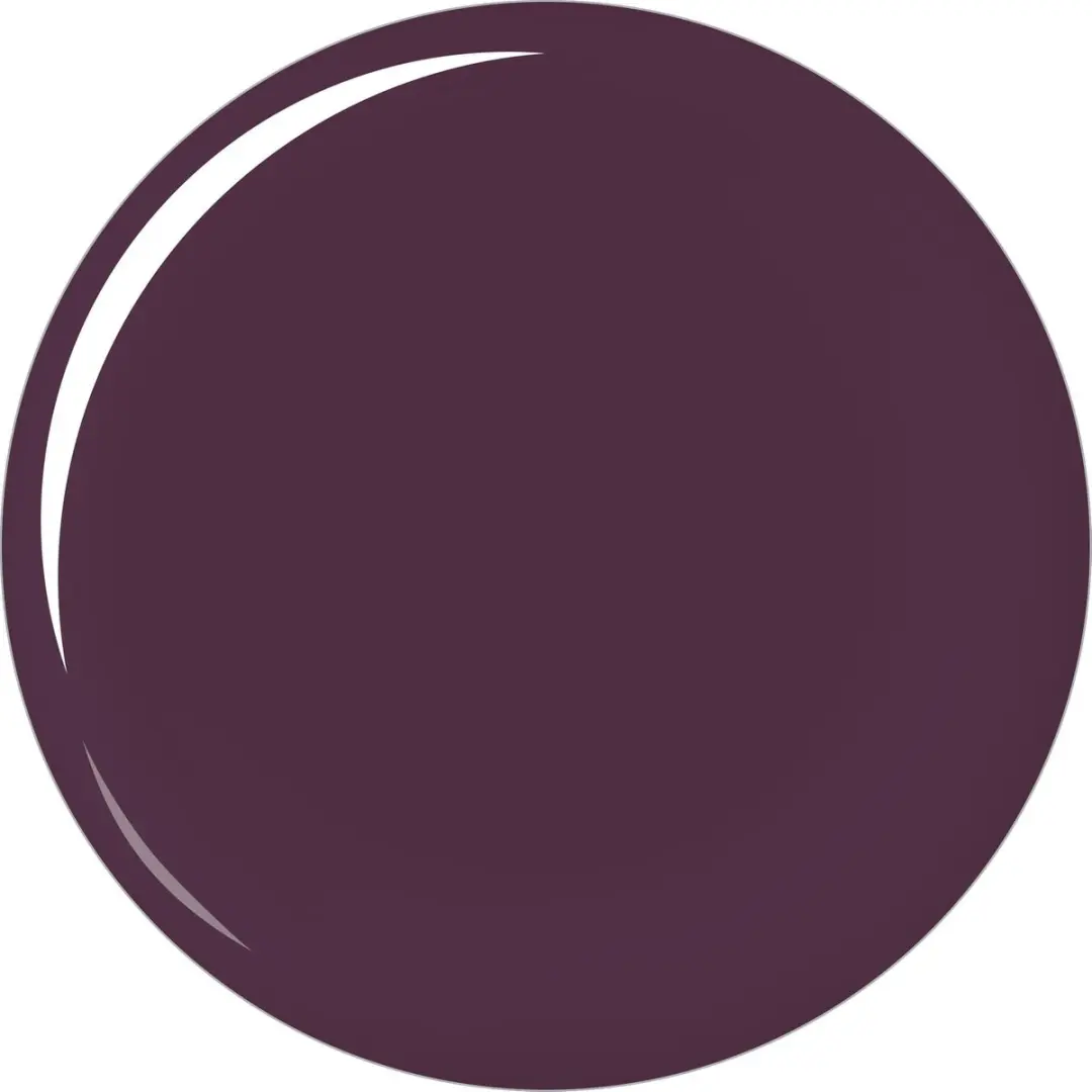 L'Oréal Paris Color Riche Le Vernis 406 - 5ml - Paars
