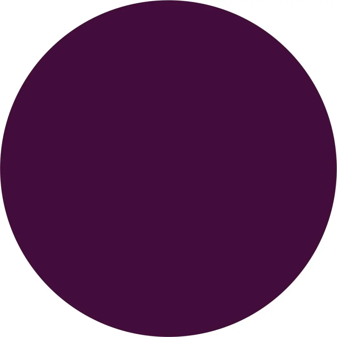 Maybelline Color Sensational Vivid Matte Lipgloss 45 Possessed Plum - 8ml