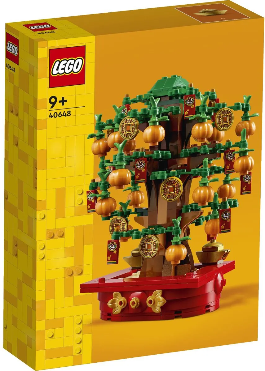 LEGO Iconic Geldboom 40648